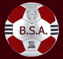 BSA Ball
